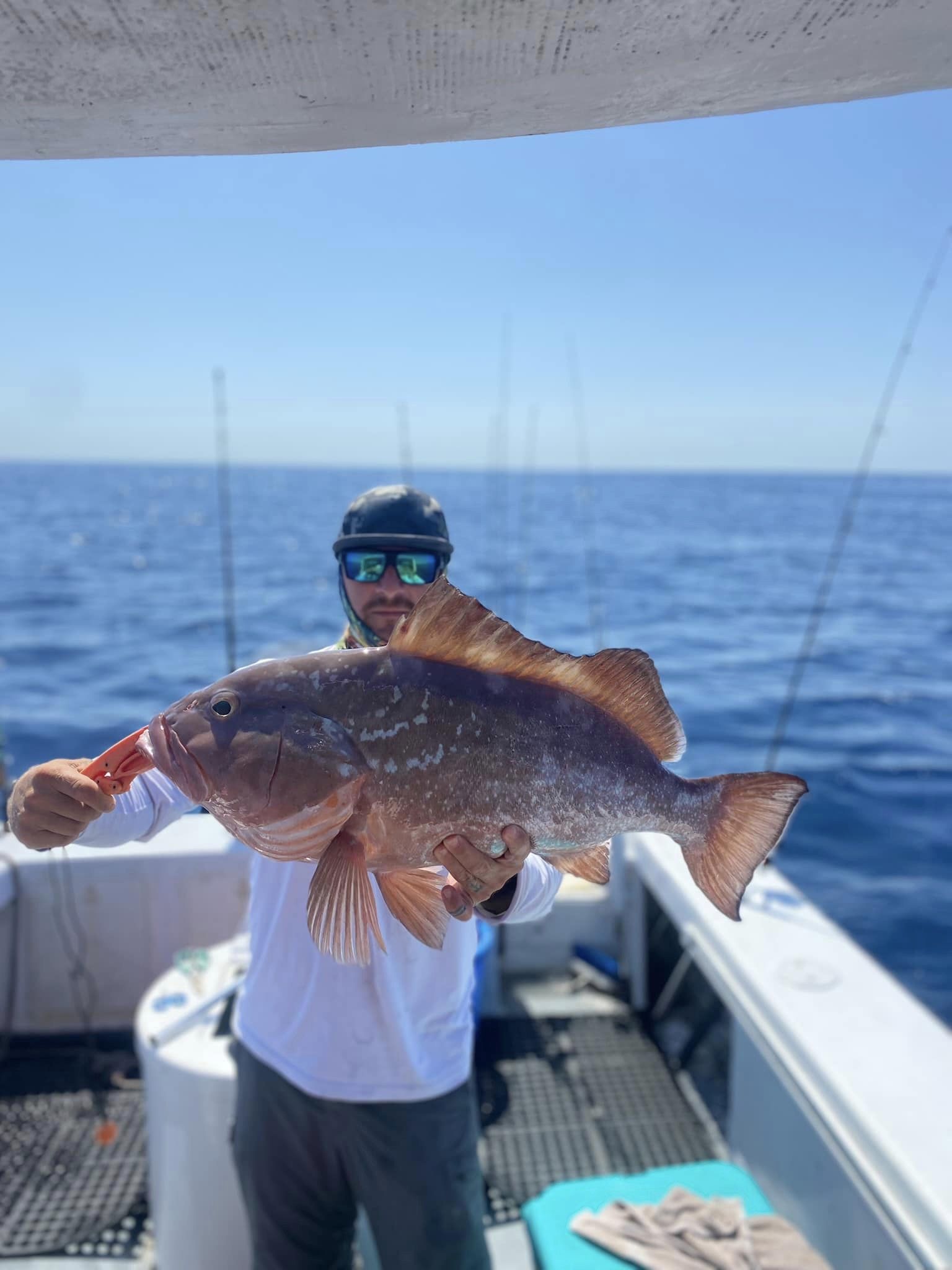 Red Grouper, a 29-inch fish, caught in Bradenton Beach