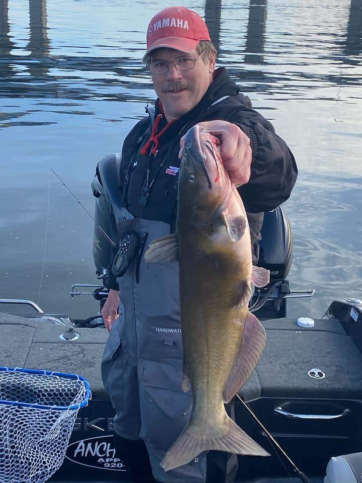 Impressive white catfish caught in Kaukauna