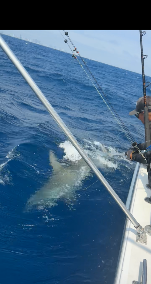 Large fish creating splash in blue ocean water next to fishing boat in Miami Beach FL