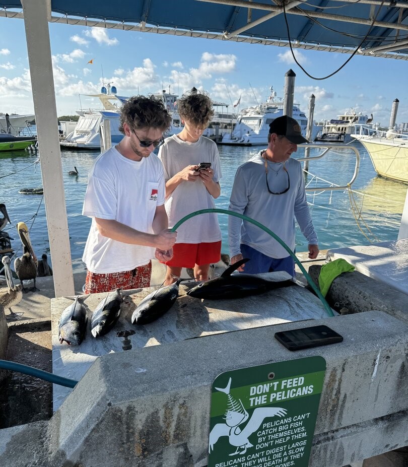 Fresh caught blackfin tuna displayed on fishing boat dock in Miami Beach FL