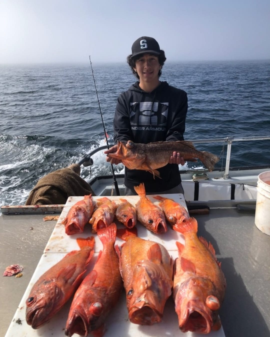 4 fish caught in NC