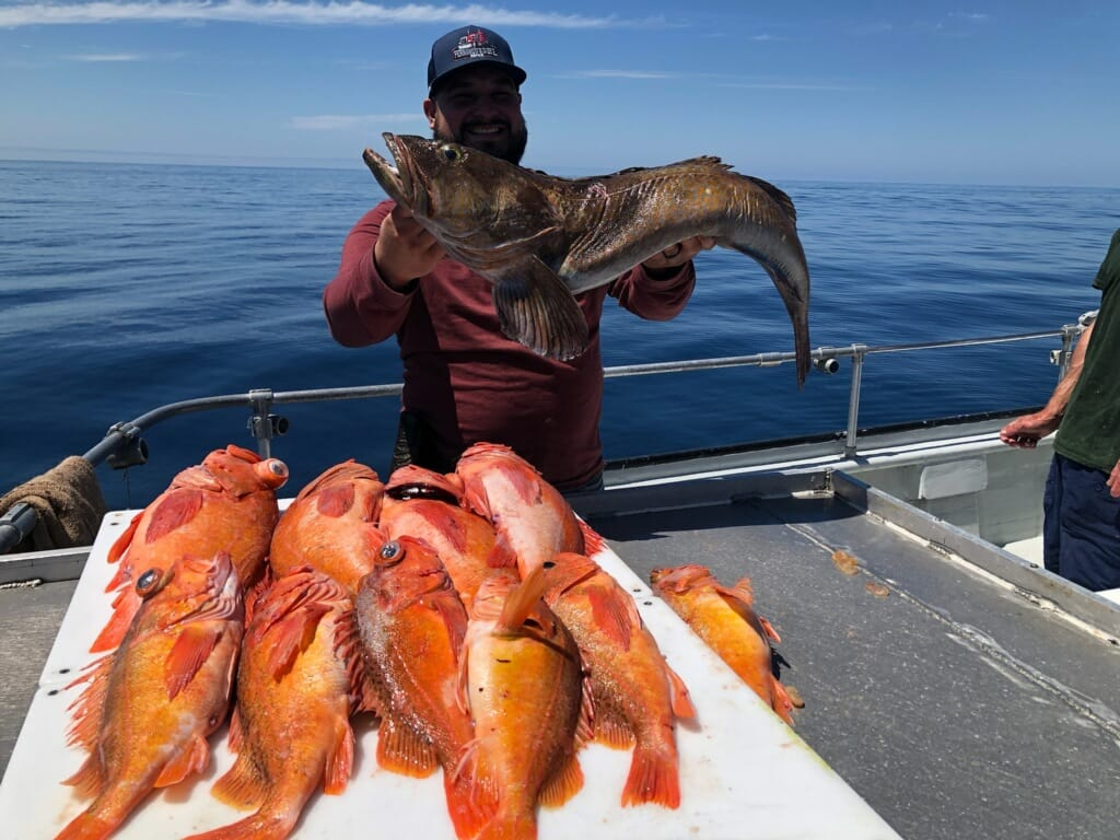 A person fishing with 2 big fish at Nags Head