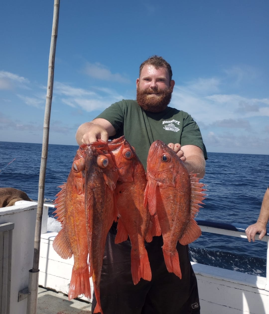 3 unspecified fish caught while fishing in Nags Head