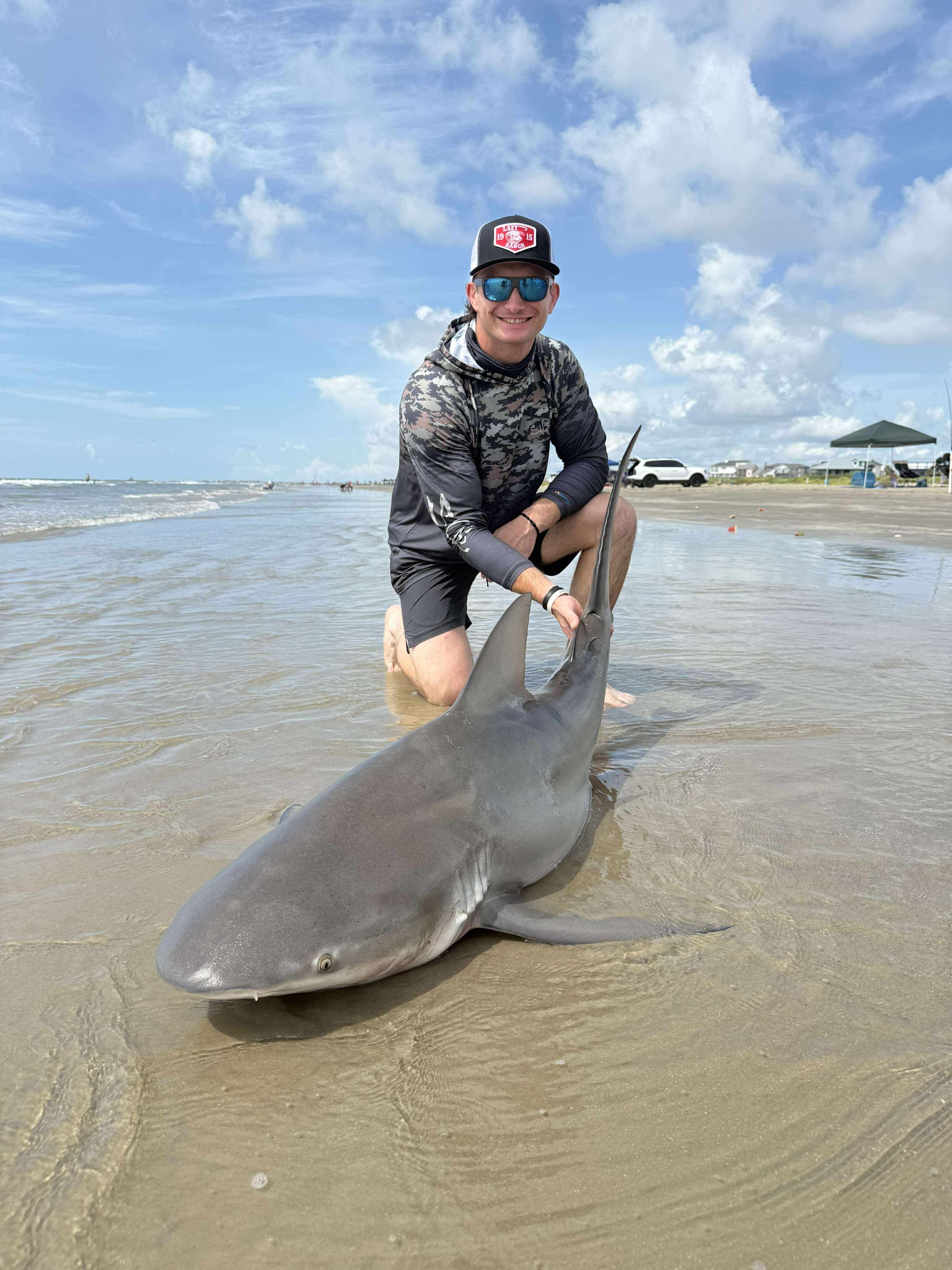 Blacktip Shark caught while fishing in Galveston