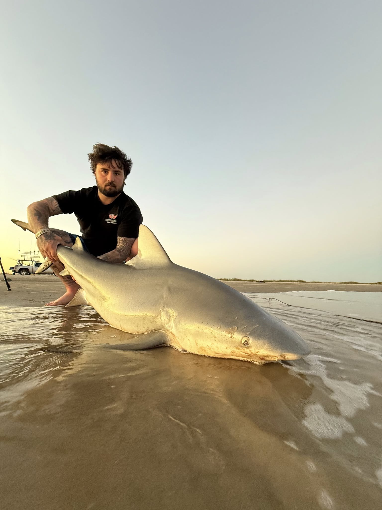 Bull shark caught while fishing in TX