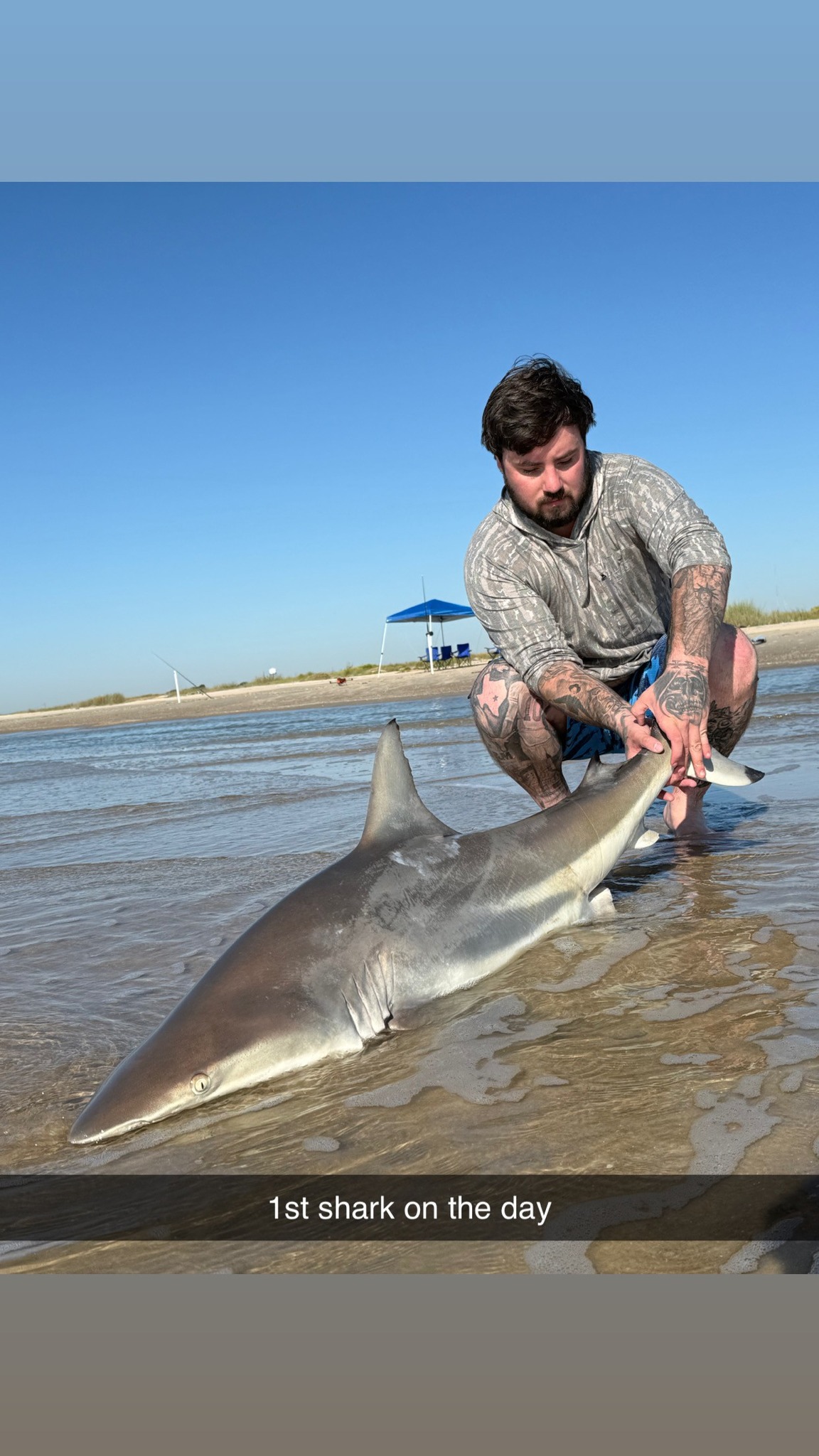 Angler fishing for a sandbar shark in Galveston