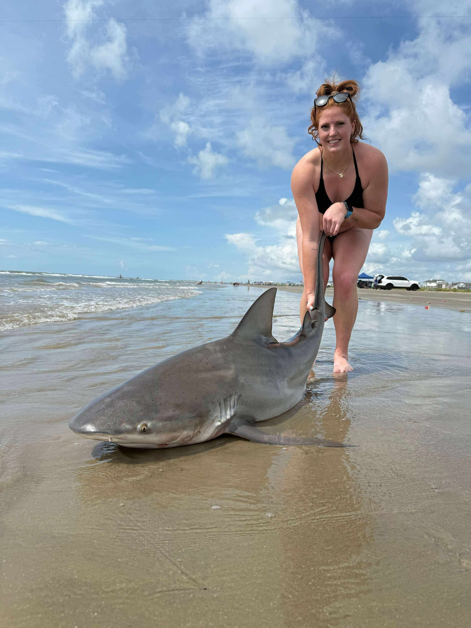 Sandbar shark caught in Galveston