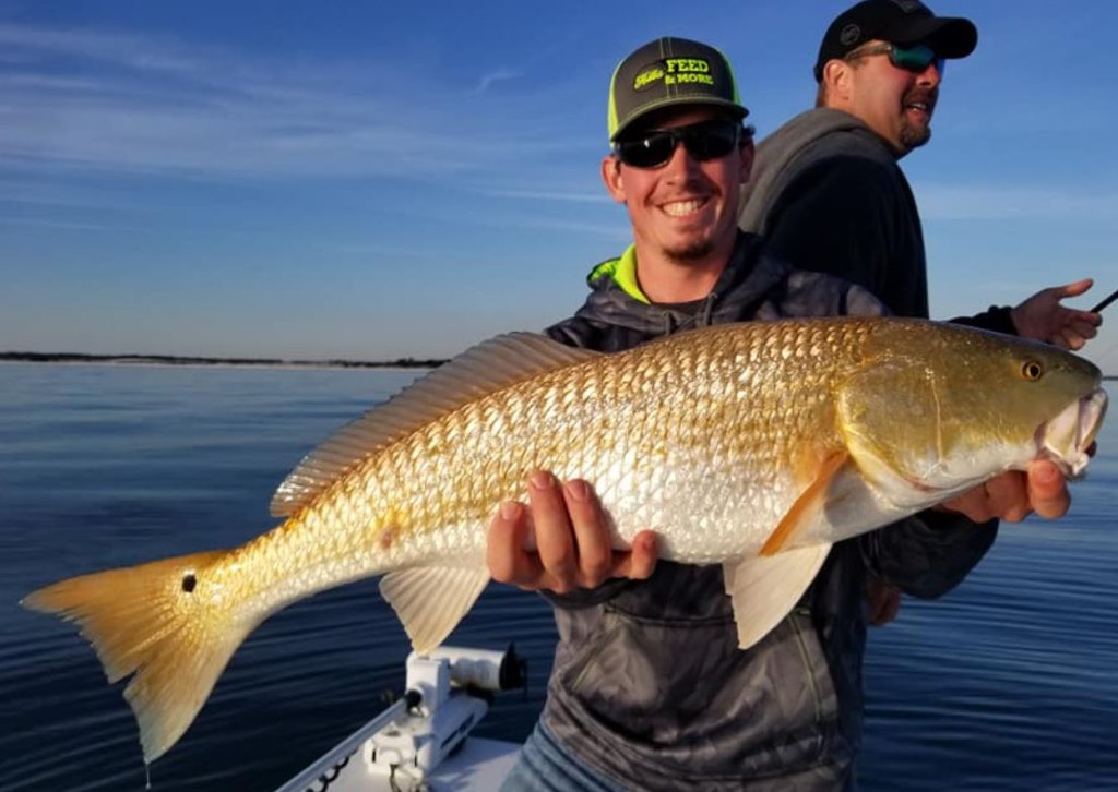 Best great fishing trip in AL