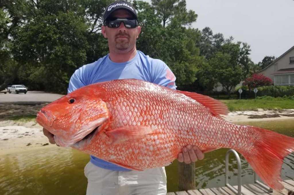 Lone angler fishing in Orange Beach