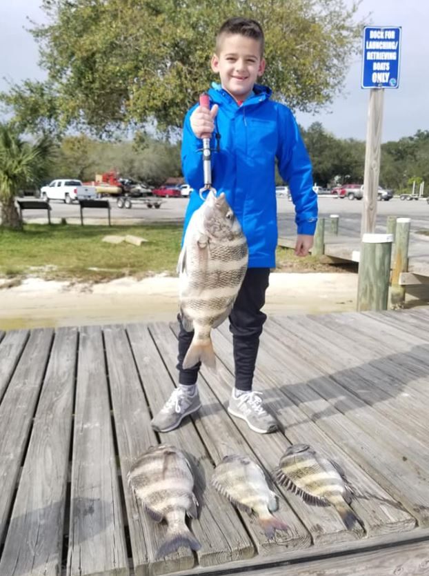 Three sheepshead and black drum fish caught in AL