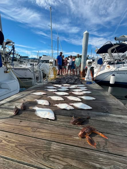 Fresh caught fish displayed on wooden dock at Norfolk VA marina with boats