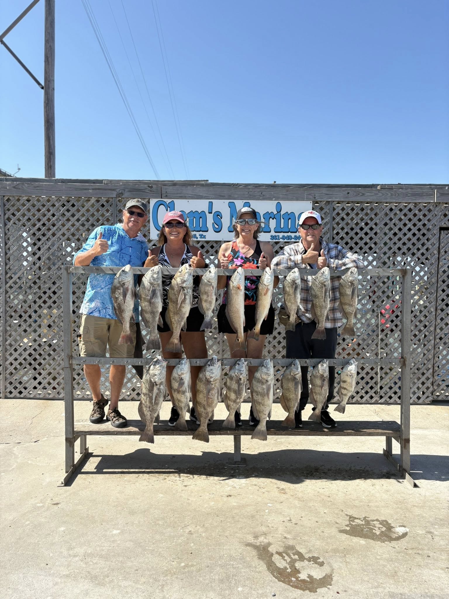 Successful black drum fishing trip in Corpus Christi TX with multiple fish displayed on cleaning station