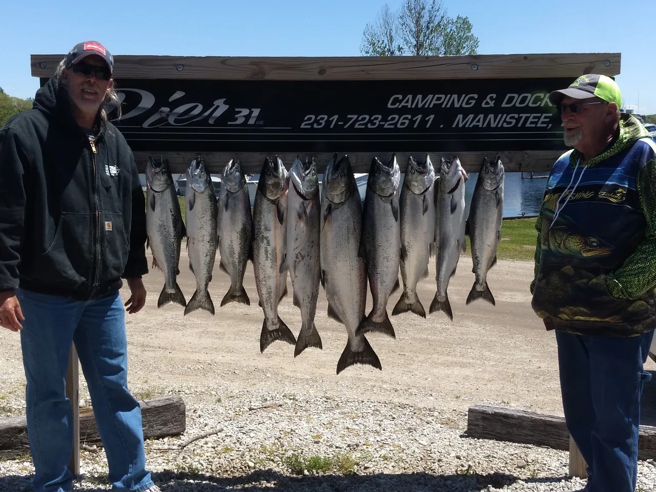 Ten Chinook salmon hanging on display rack at Pier 31 Camping & Dock in Manistee MI