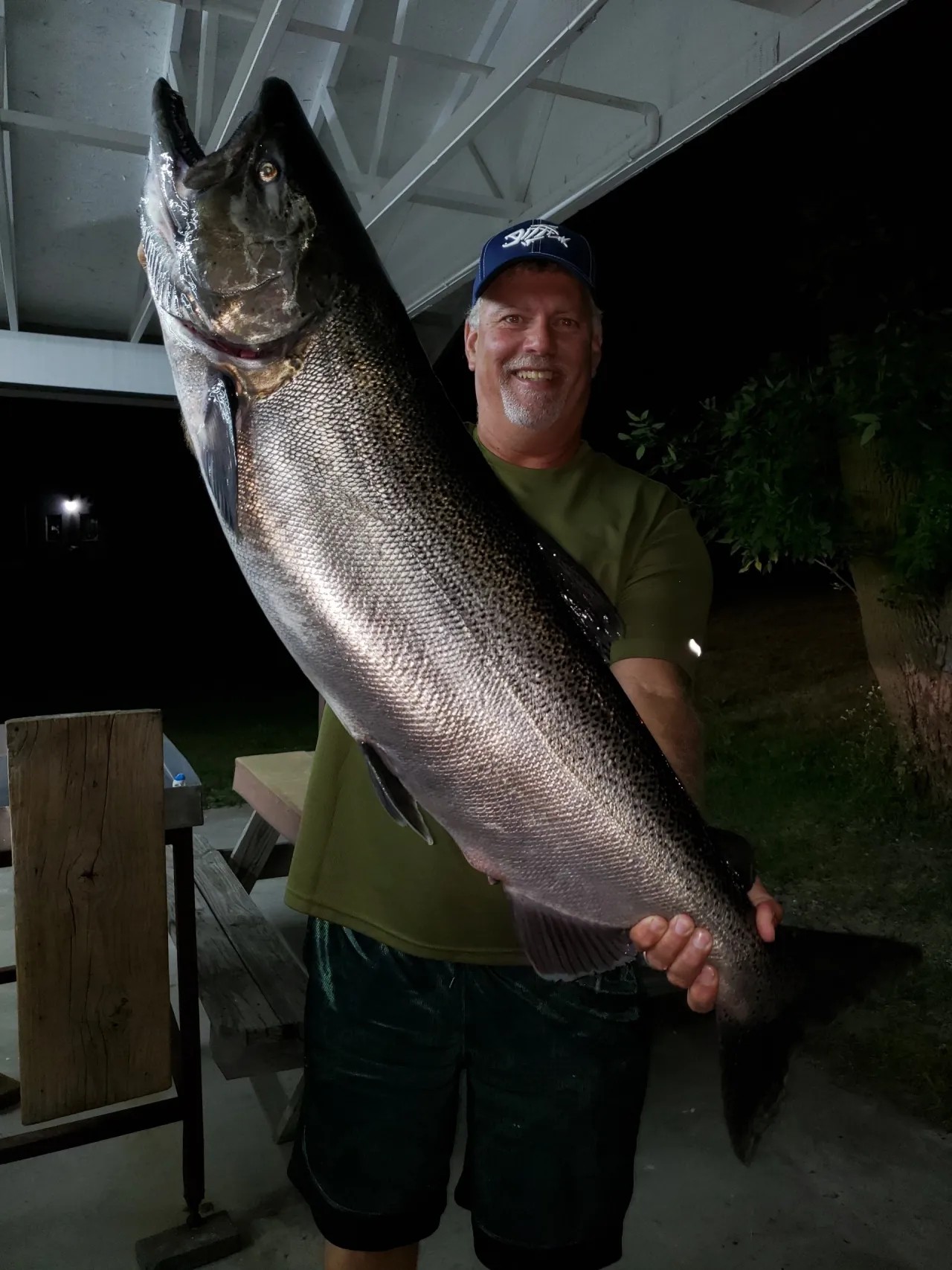 Large Chinook salmon catch displayed on fishing boat in Manistee Michigan