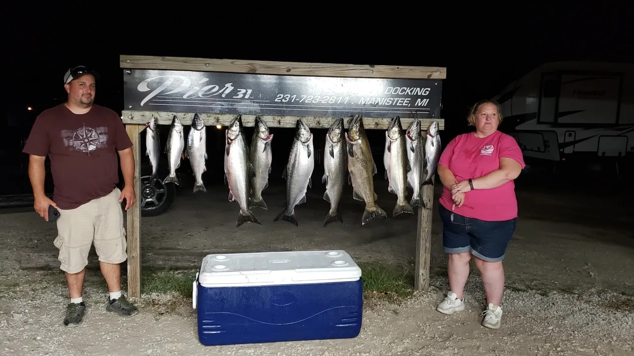 Successful fishing trip displaying multiple Coho and Chinook salmon caught in Manistee MI