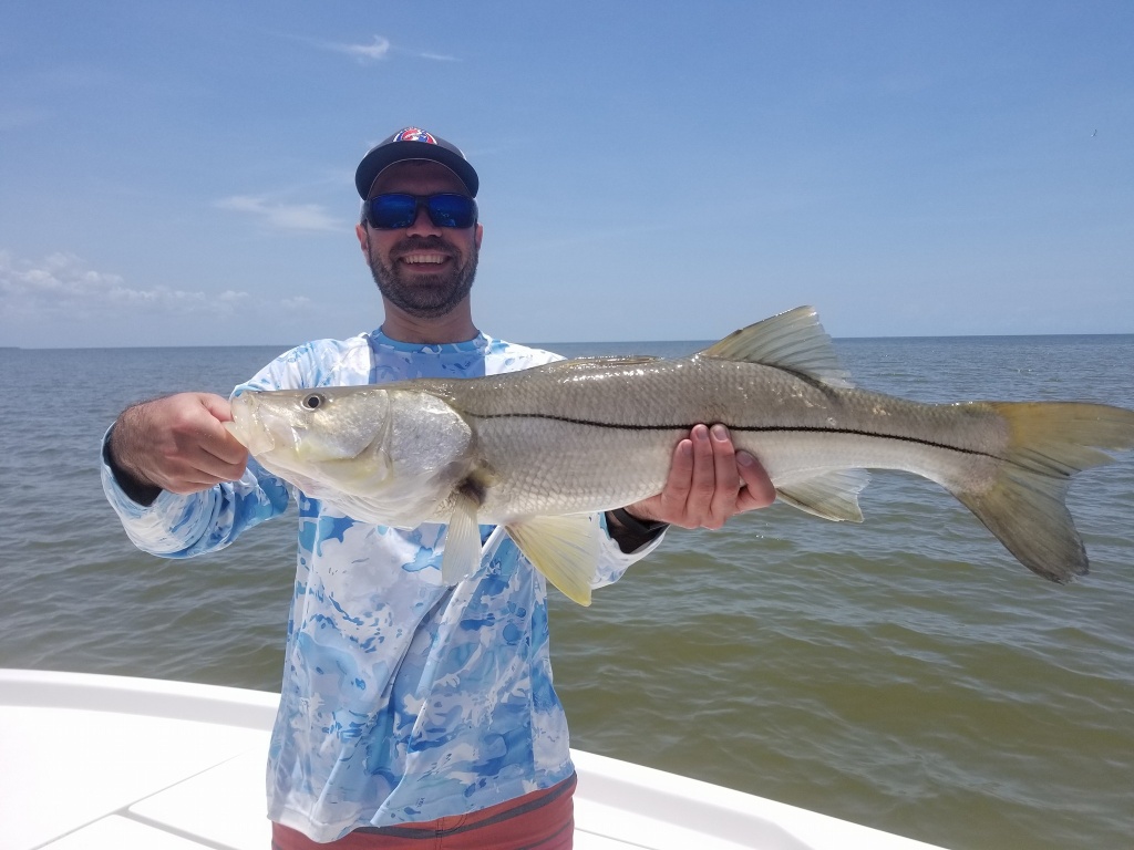 Snook fish caught in FL