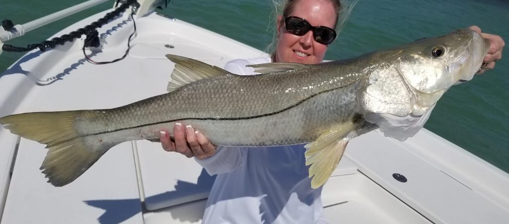 Snook fish caught in FL