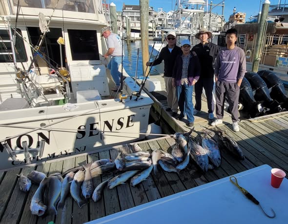 Fresh caught fish displayed on dock in Cape May NJ after successful fishing trip