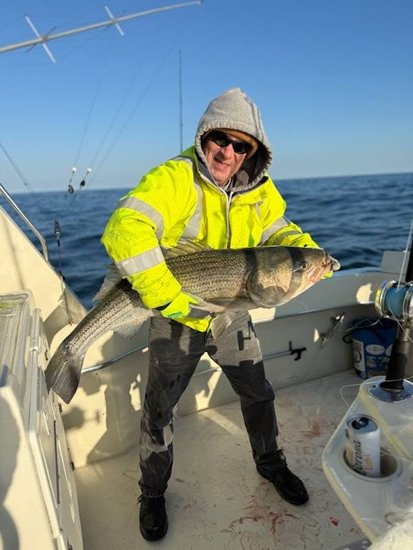 Striped bass caught during fishing charter in Cape May NJ