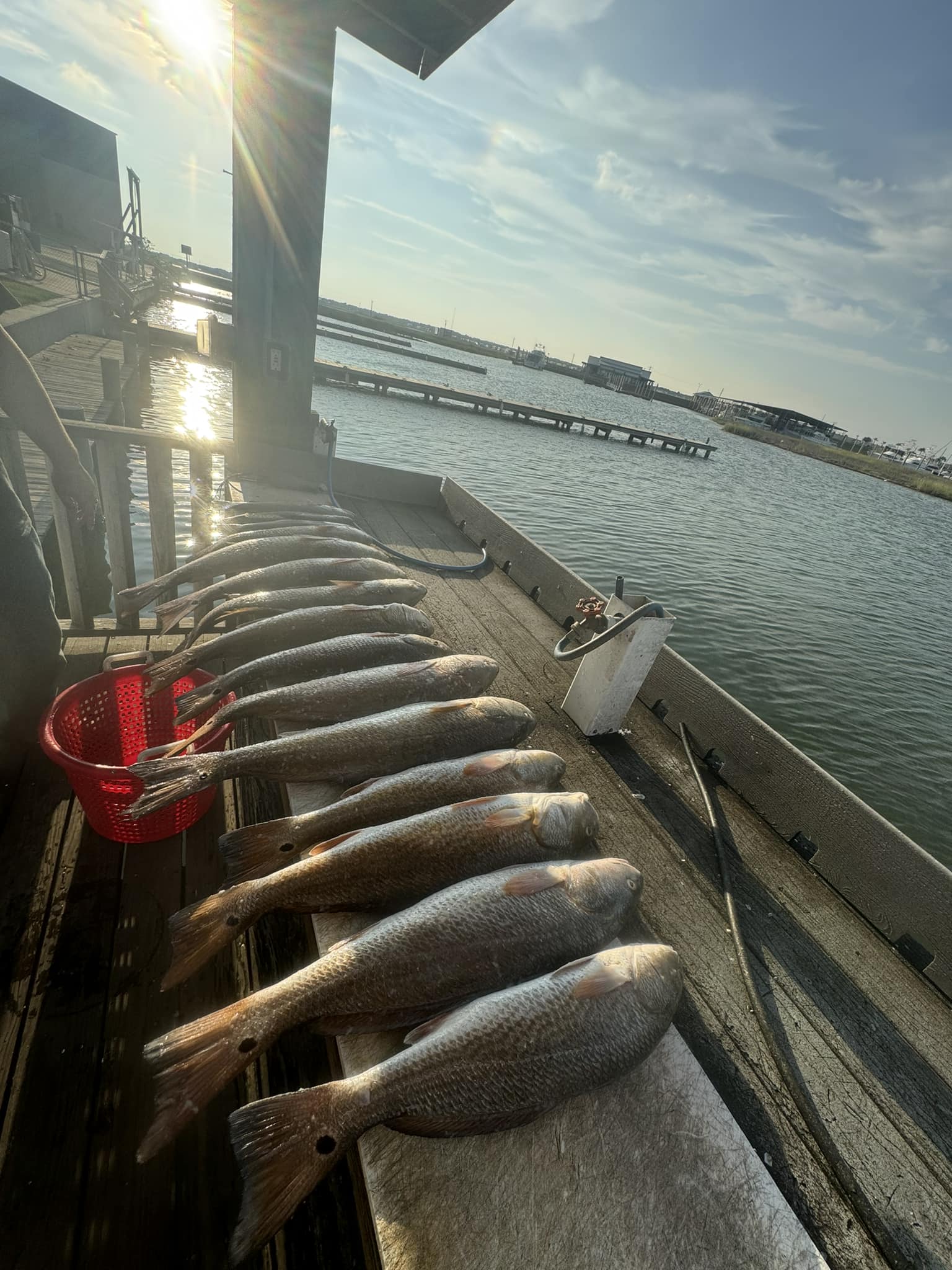 Two fishermen catching fish in TX