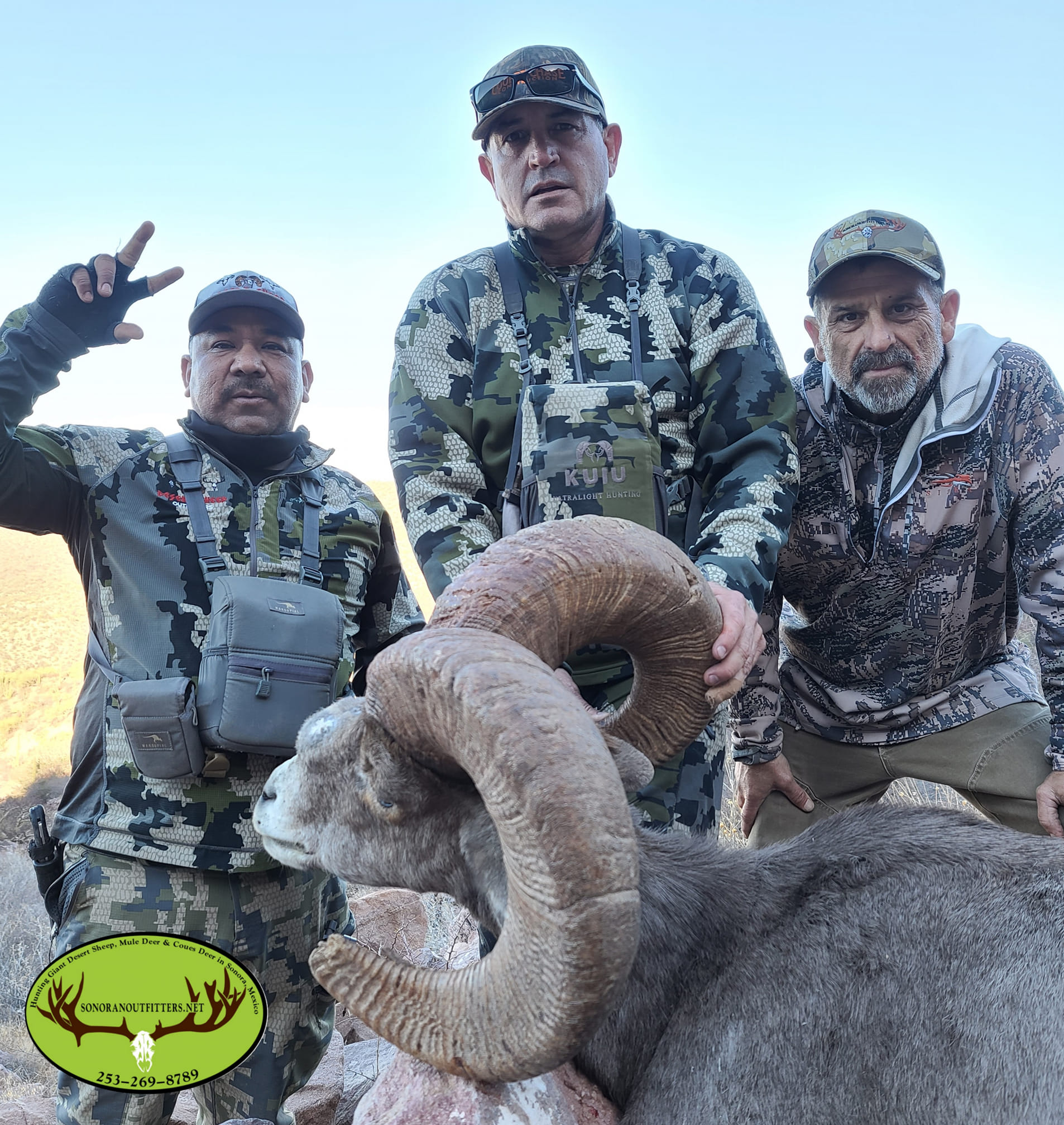Successful ram hunting expedition in Flagstaff AZ with harvested bighorn sheep