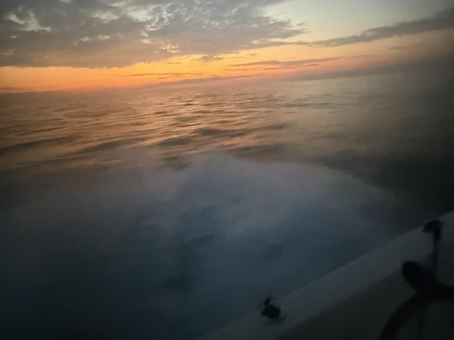 Hampstead sunset cruise boat with 4 guests dolphin watching on calm coastal waters at golden hour