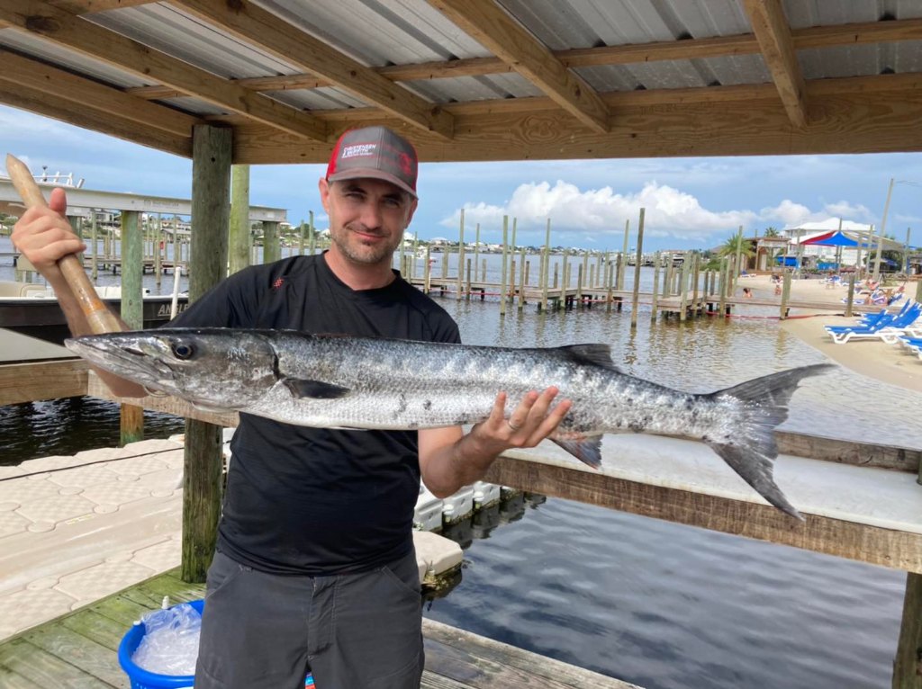 A photo of a huge great barracuda caught in Orange Beach