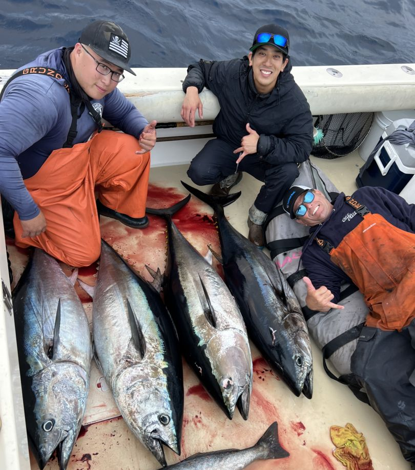 4 Blackfin Tuna and Little Tunny fish caught while fishing in CA