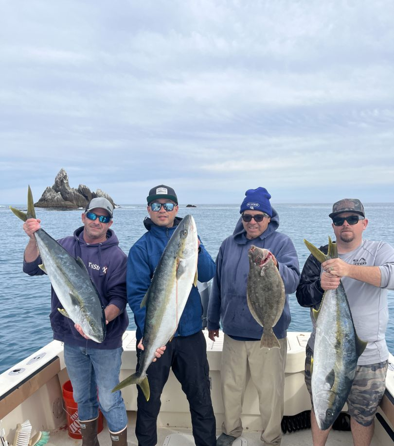 4 greater amberjack fish caught in Huntington Beach