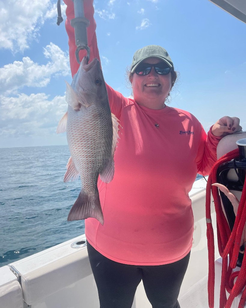 A mangrove red snapper fish caught in FL