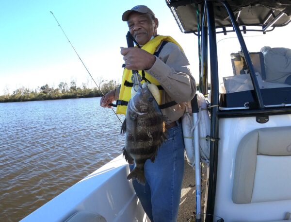 Sheepshead fish caught in Port Sulphur