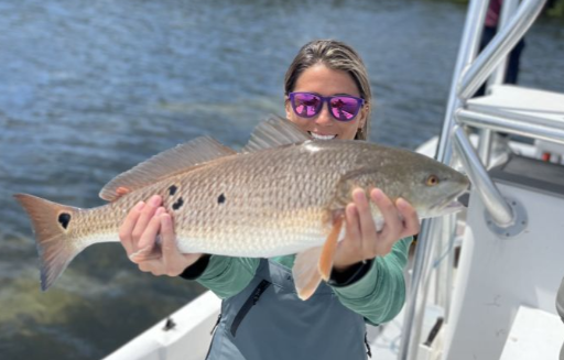 Redfish caught in Holmes Beach, Florida