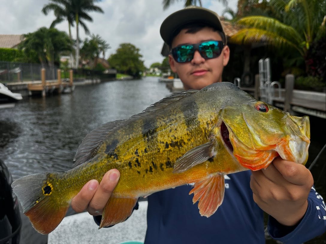 Angler fishing in FL