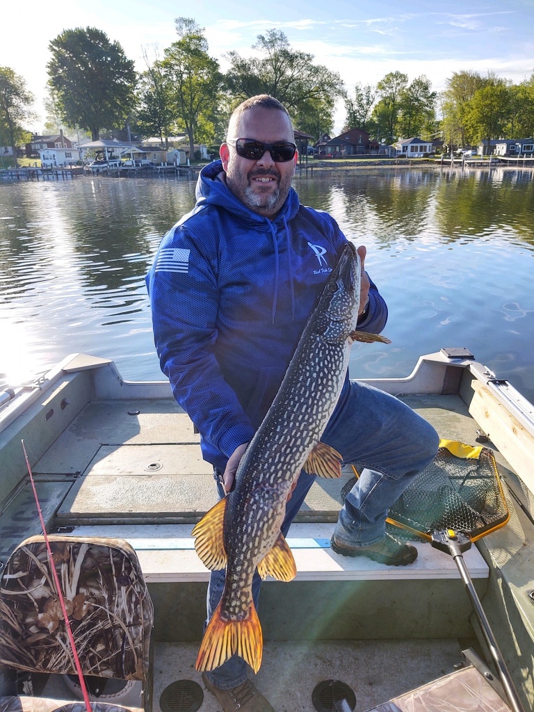 A large Northern Pike caught in CT