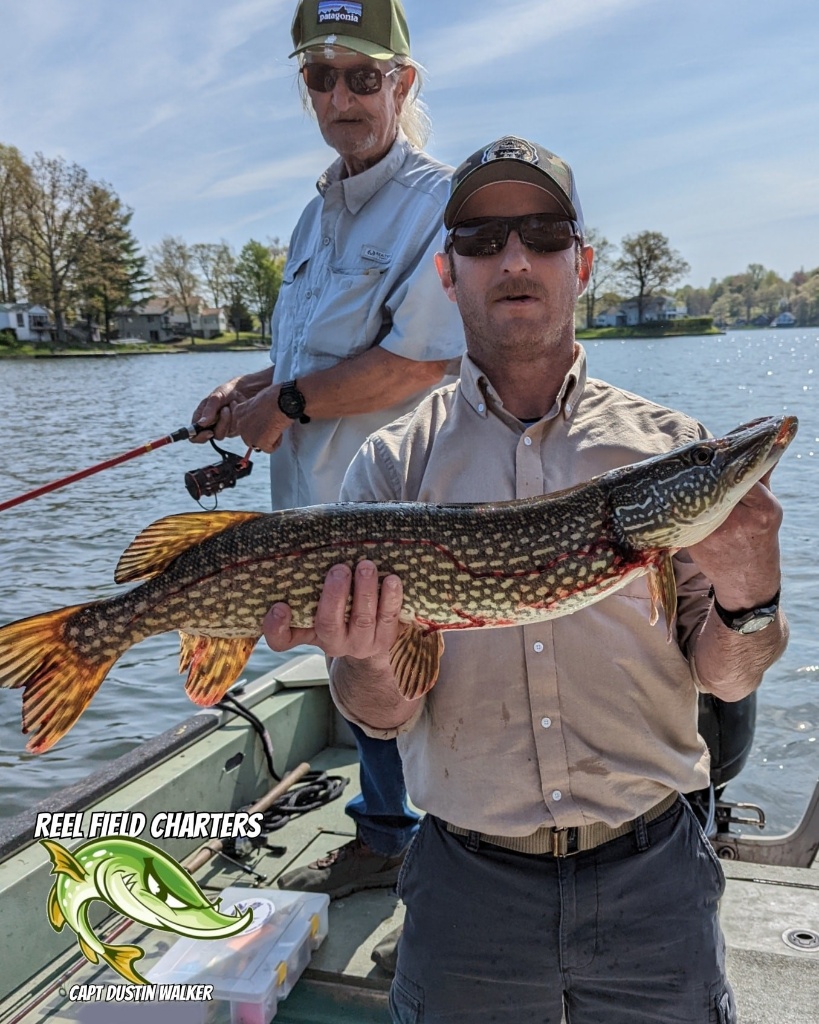 Caught a massive Northern Pike while fishing in Westbrook