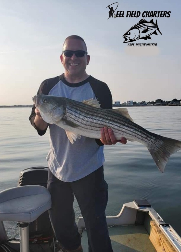 Striped bass caught in CT