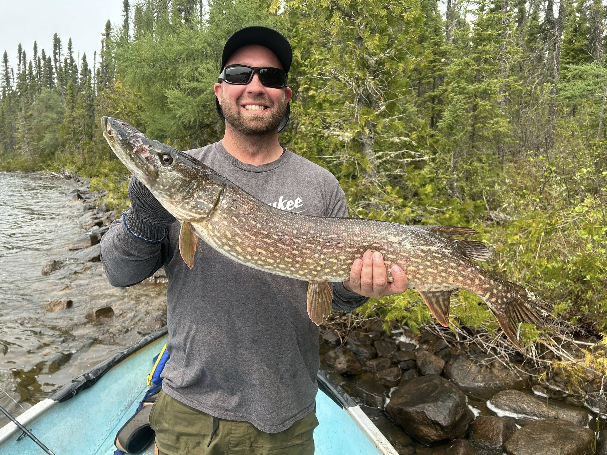 Northern Pike, 31-inch fish caught while fishing in Ontario