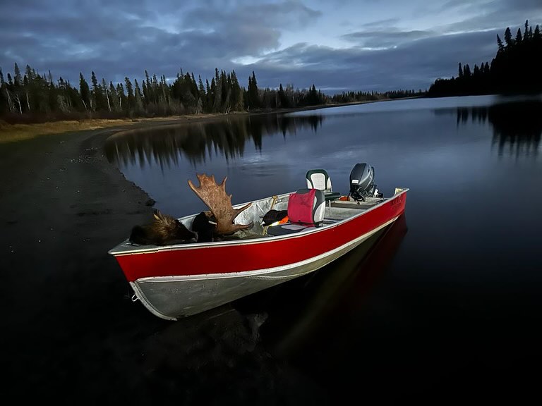 Gray Wood Outfitters