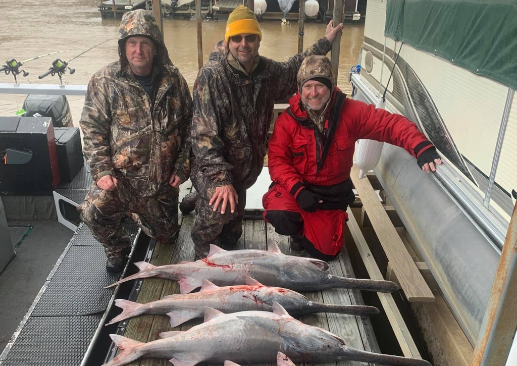 Blue Catfish, 37 inches, caught in Camdenton