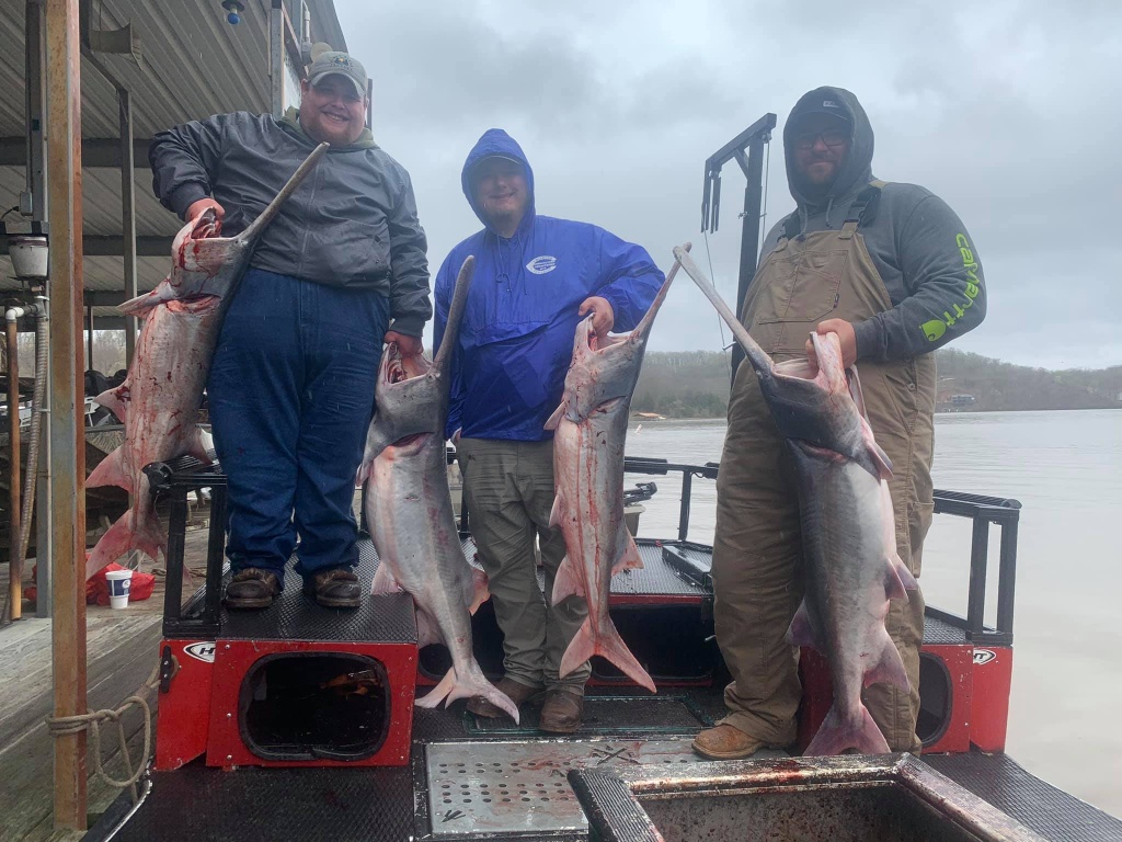 4 great fish caught in MO