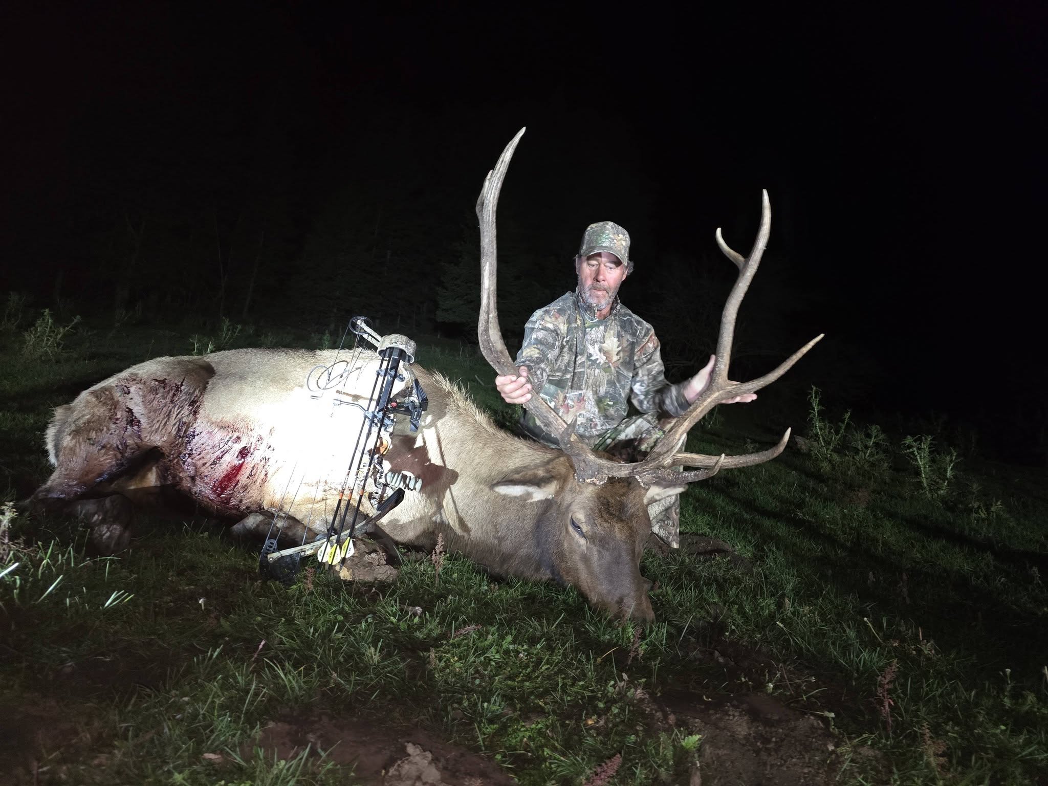 Large elk with impressive antlers taken during bow hunting in Mayhill New Mexico