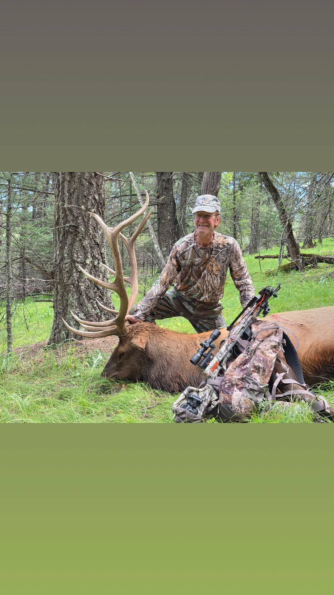 Successful elk hunt in Mayhill New Mexico showing harvested bull elk with large antlers in forest setting