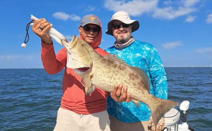 Gag Grouper fish catch in FL