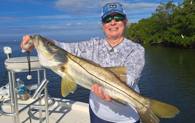 A large snook caught while fishing in St. Petersburg
