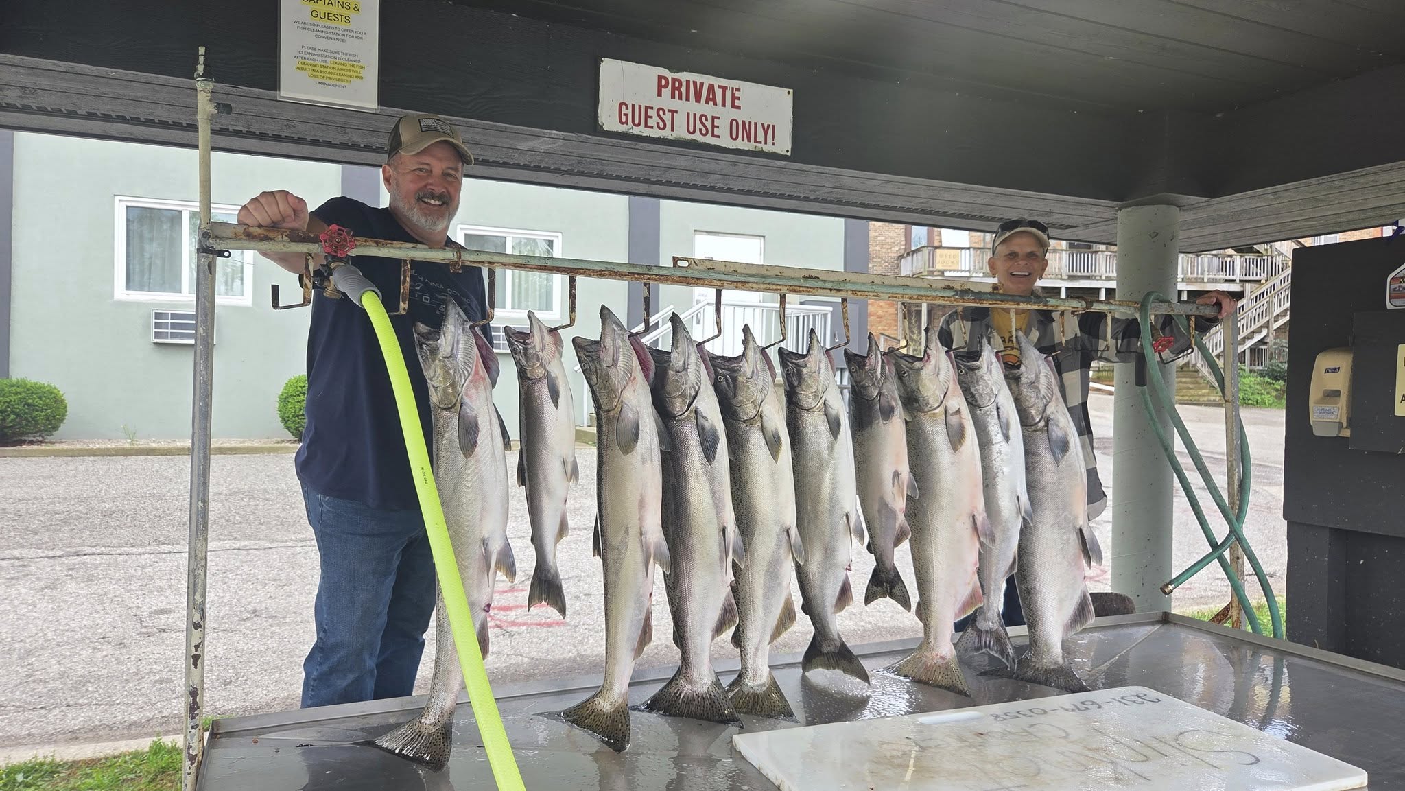 4 rainbow trout caught fishing in Manistee