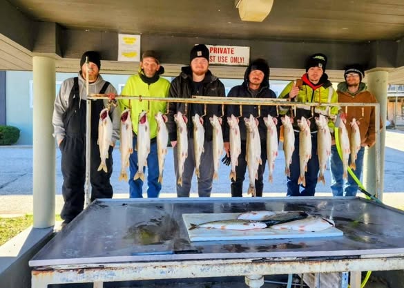 Fishing charter catch display with multiple fish hanging on cleaning station in Manistee MI