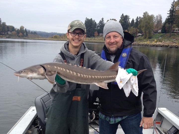 Angler holding a white sturgeon fish in Portland