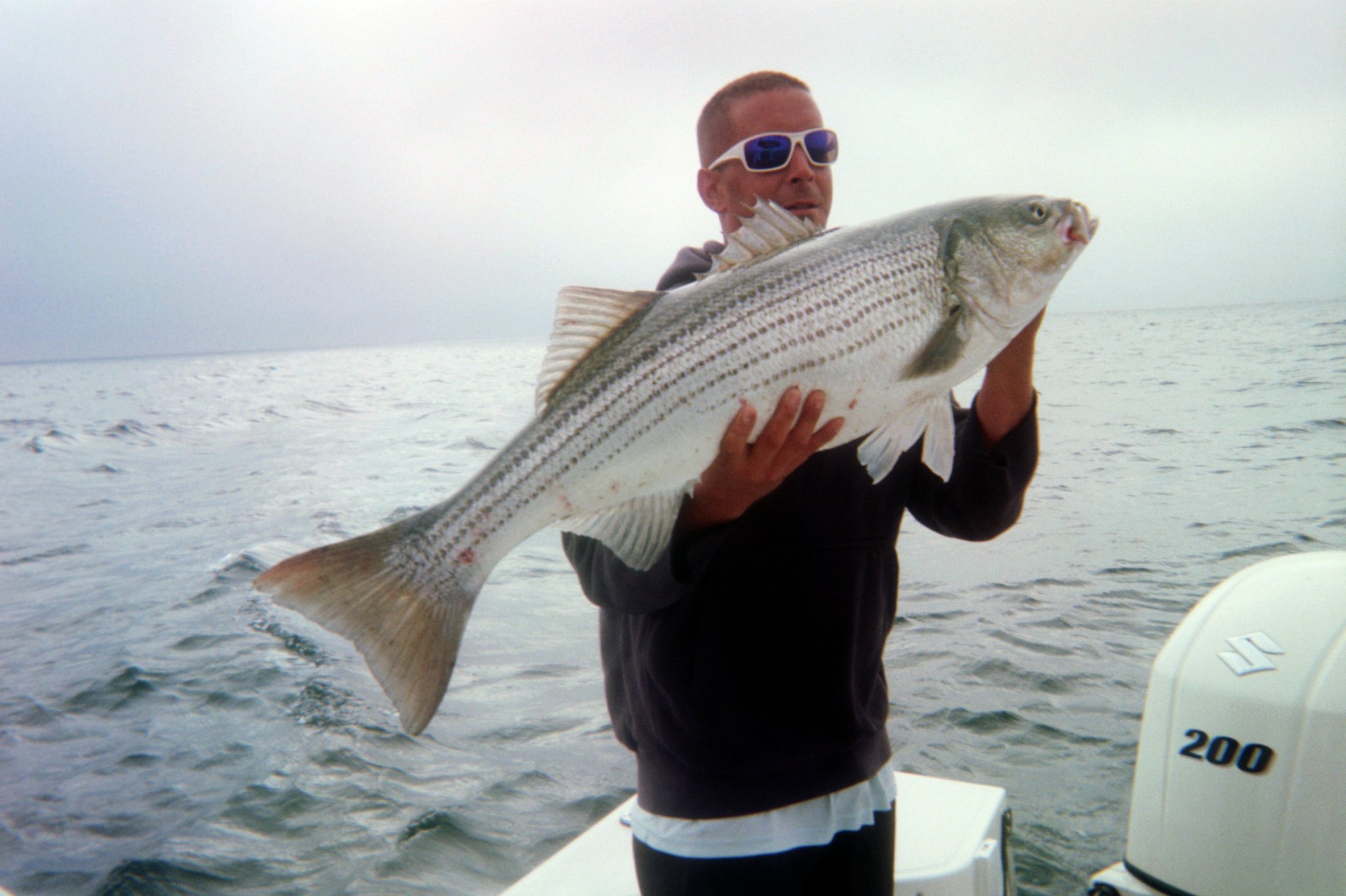 Striped bass caught fishing in MA