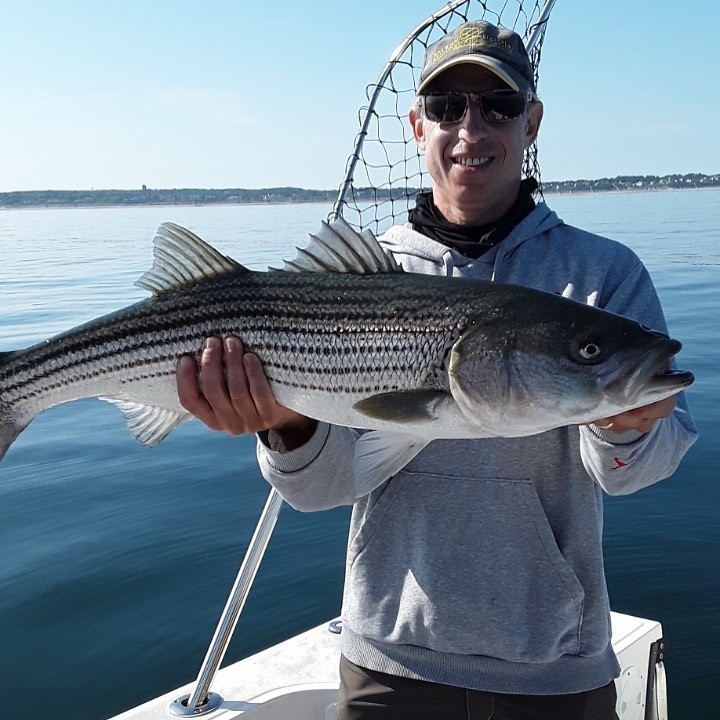 Half-day Cape Cod fishing charter boat targeting striped bass and bluefish from Sandwich Marina