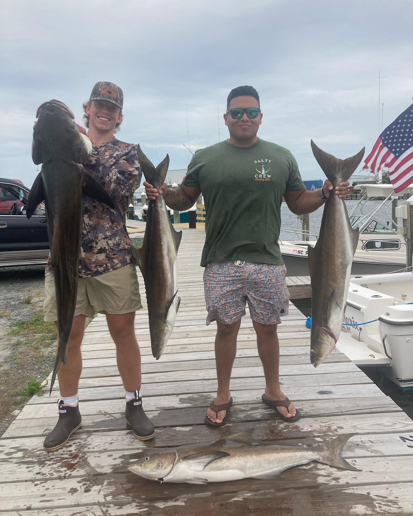 Four bull sharks and cobia caught fishing in North Carolina